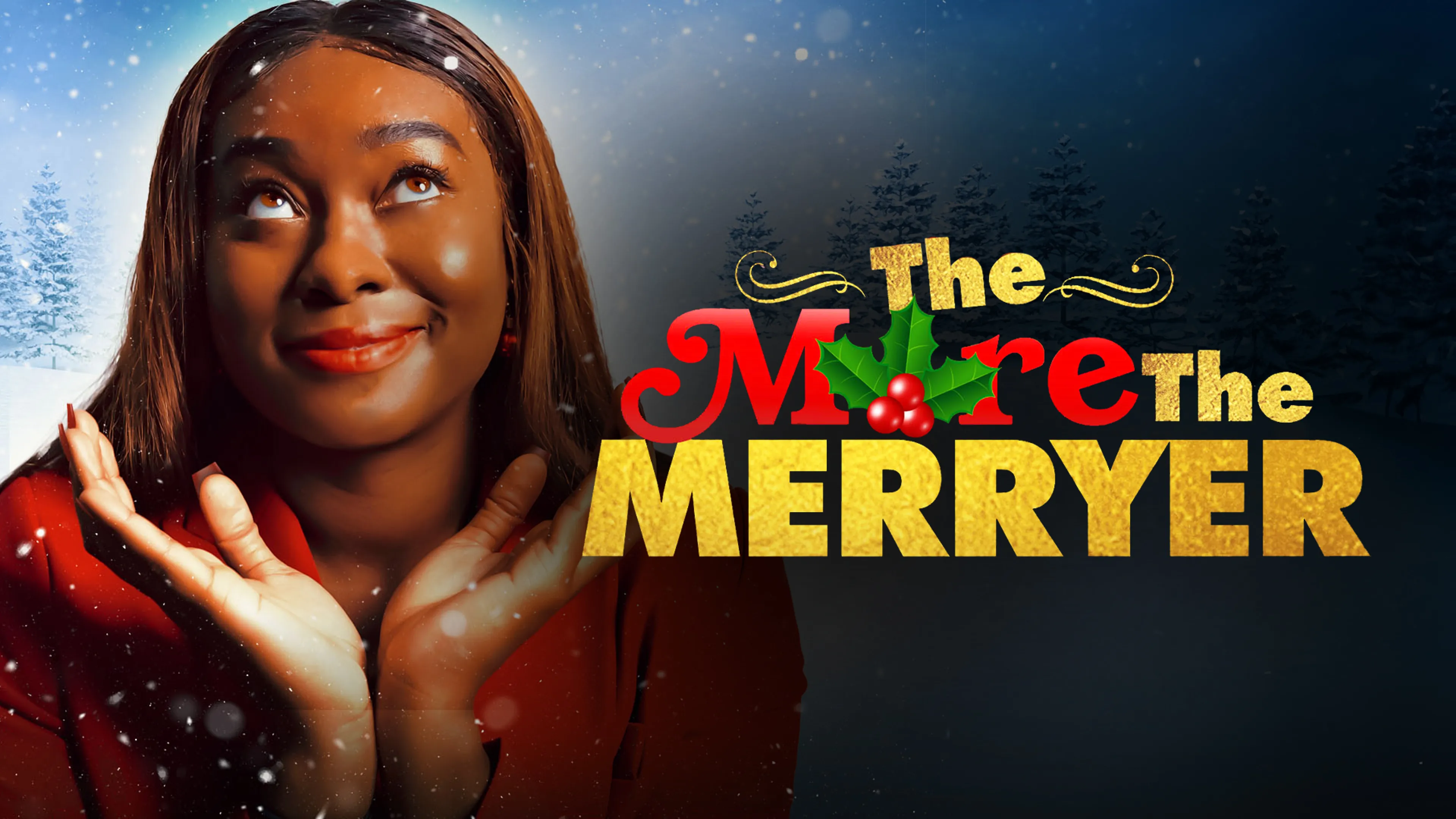 The More The Merryer poster